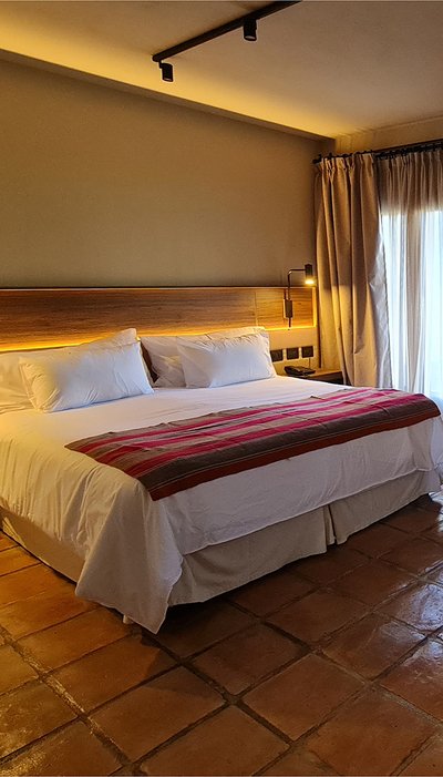 Suite Room – Vineyards and Hills View