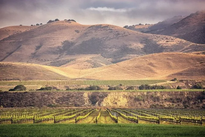Santa Maria Valley