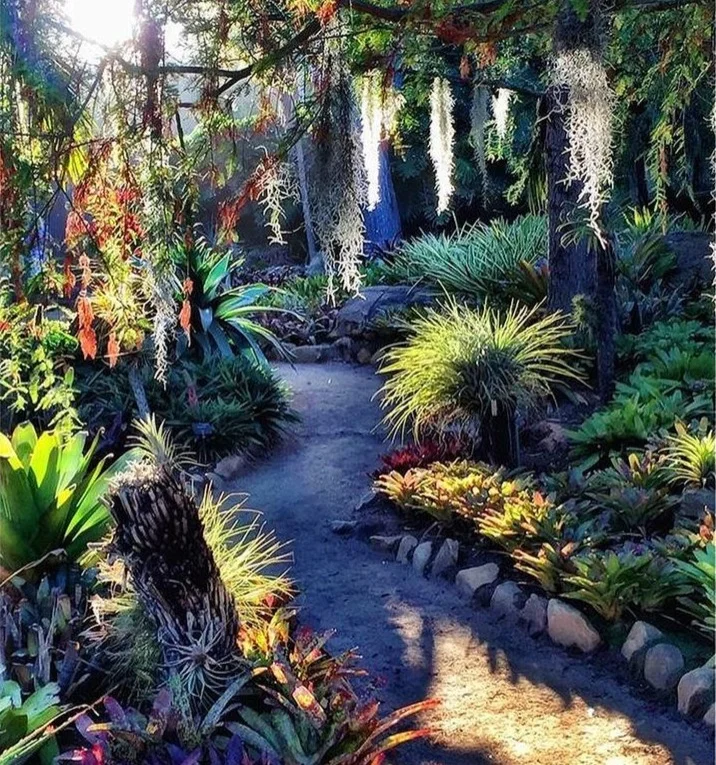 Lotusland Santa Barbara Paradise