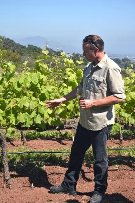 Santa Barbara Wine Country