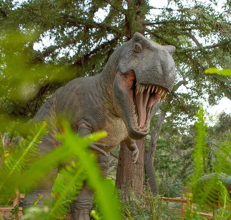 Santa Barbara Museums Natural History